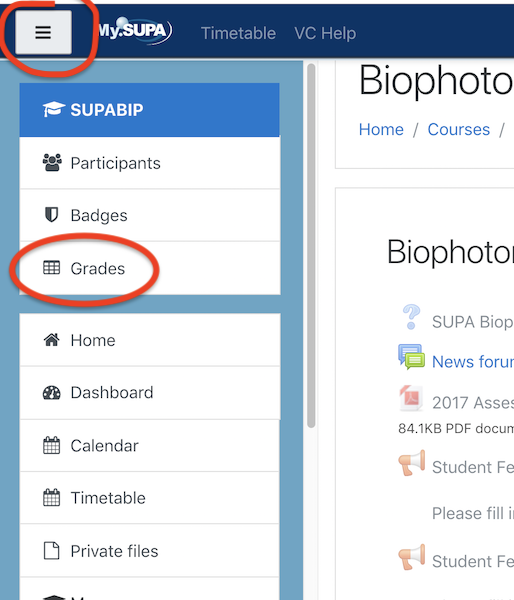 Use left hand menu in your course page to access Grades